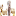 Sari4D